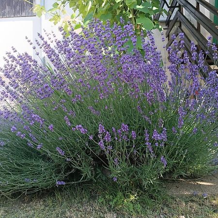 Apartma Mihatovi Півка Екстер'єр фото